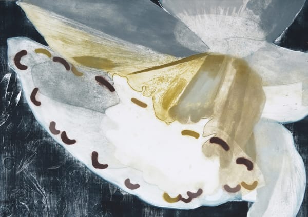 Katherine Jones RA RE, Narcissus
