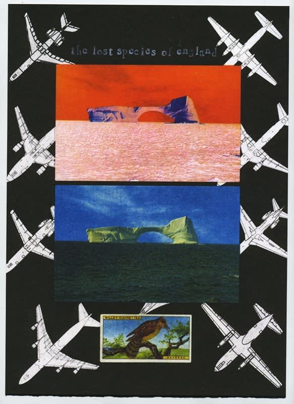 Ian Brown RE, News from the Critical Zone: Wryneck 1970