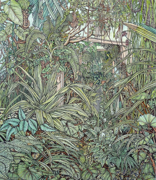 Meg Dutton RE, Tropical Corridor