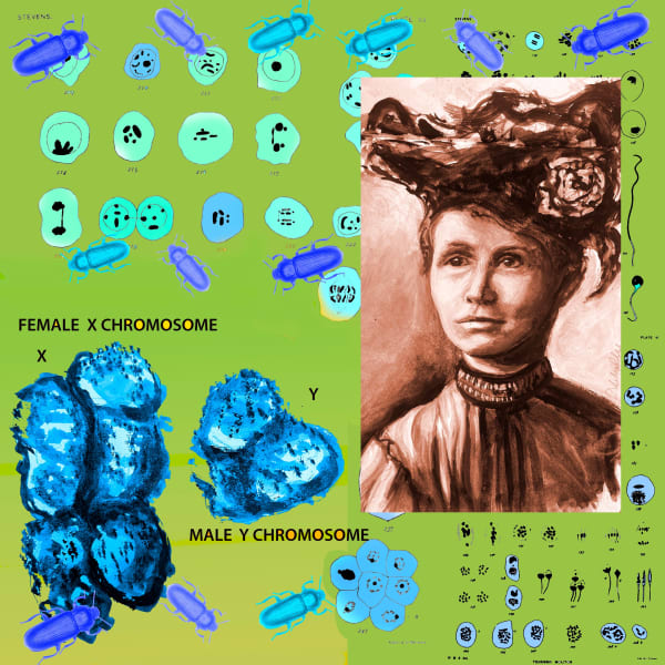 Denise Ballard-Wyllie ARE, Celebrate Unsung Science Sister Nettie Stevens 4