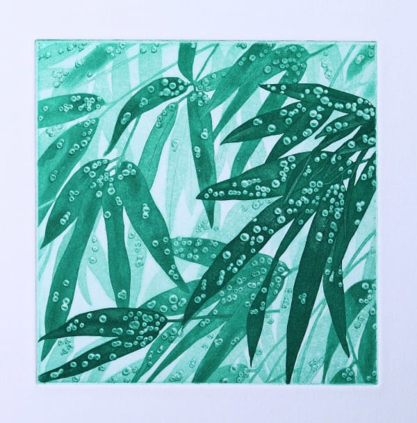 Emiko Aida RE, Nourish Green Drops