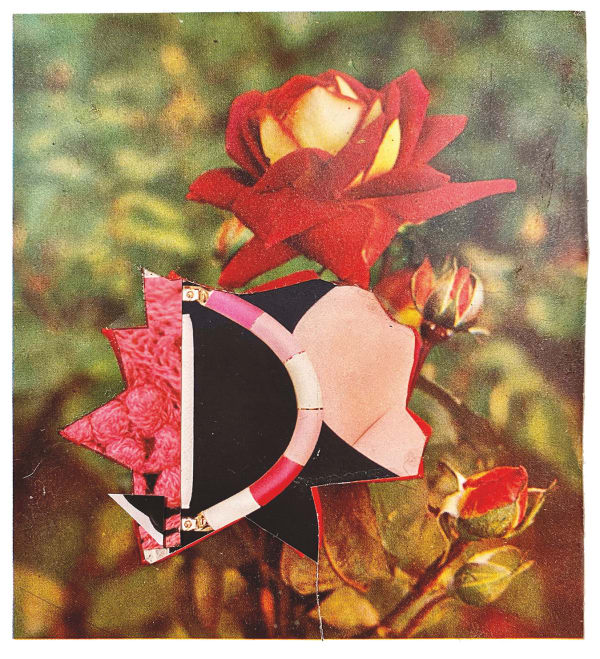 David Ferry PRE, Flower Montage II