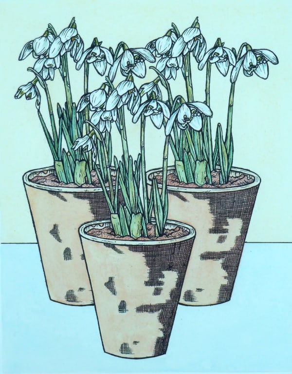 Meg Dutton RE, Snowdrops