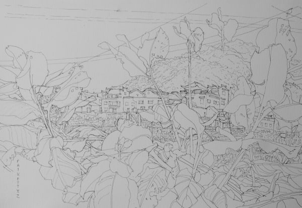 David Paskett PPRWS Hon. RE, Outside the village, Anhui