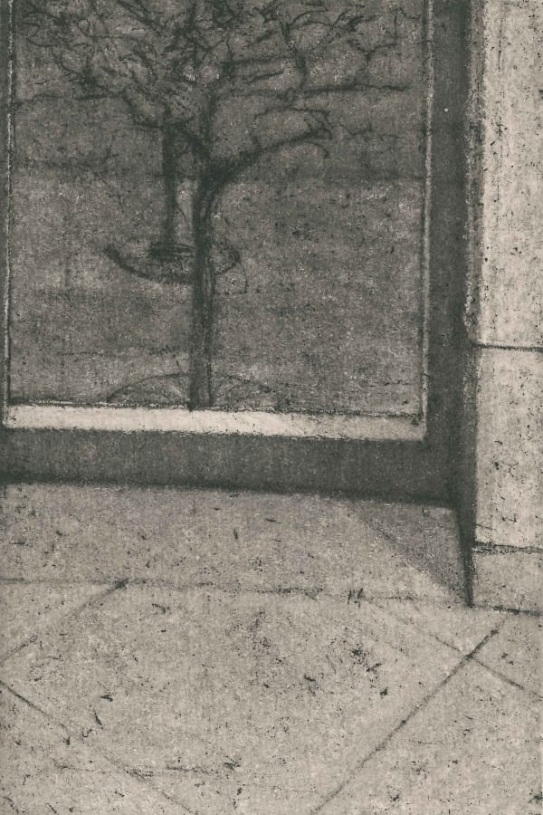 David Lintine ARE, Evening Window View