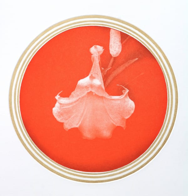 Emiko Aida RE, White Flower 3, 2022
