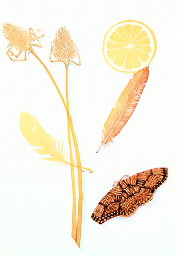 Caroline Macey RE , sunrise