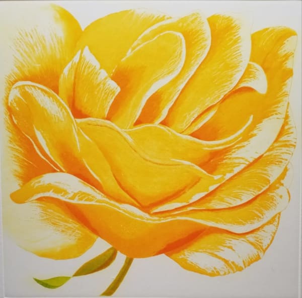 Grainne Cuffe ARE, A Golden Rose