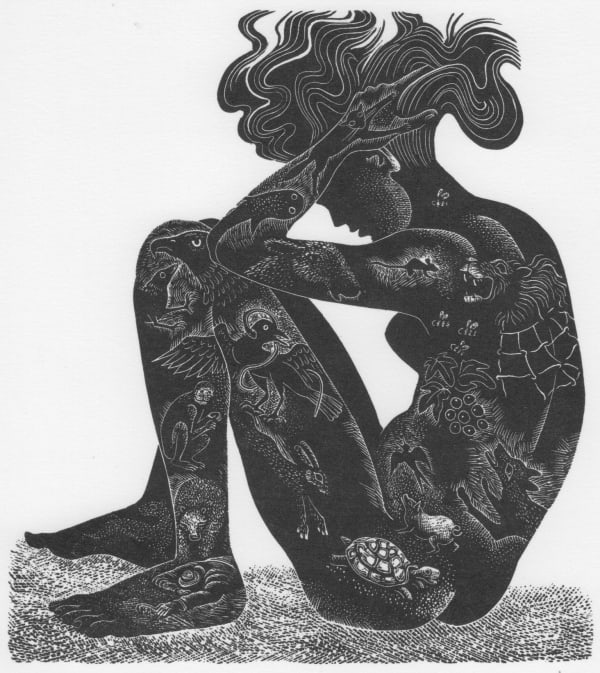 Hilary Paynter MBE PPRE Hon. RWS, Mrs Aesop, 2018