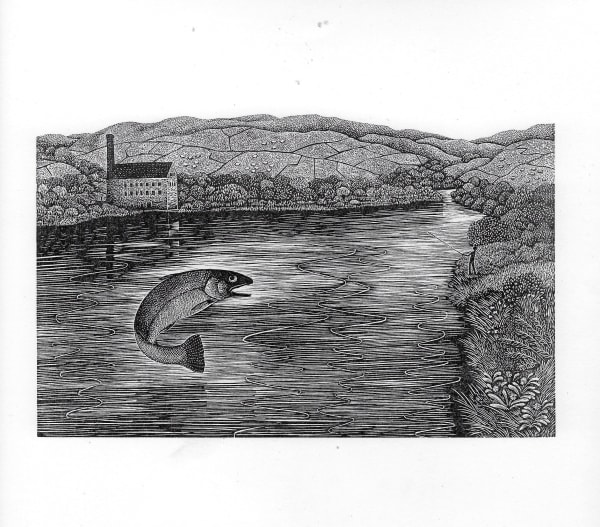 Hilary Paynter MBE PPRE Hon. RWS, Leaping Trout