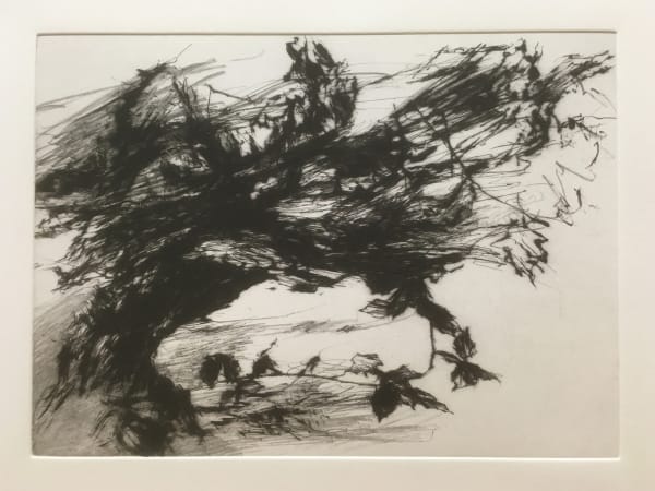 David Sully ARE, Cold Wind