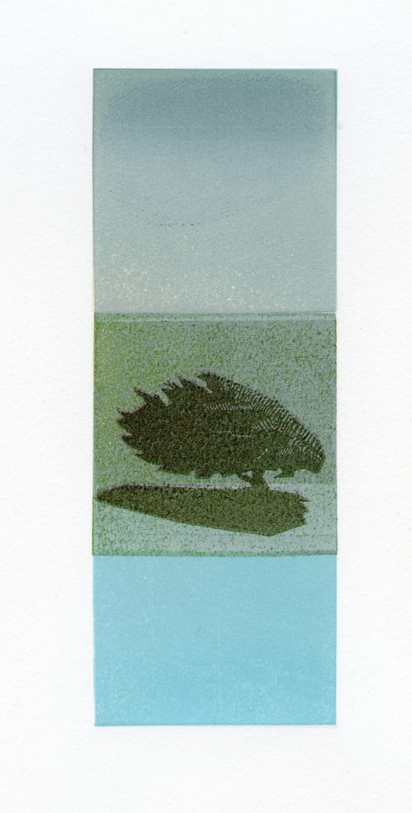 Roy Willingham RE, Haze