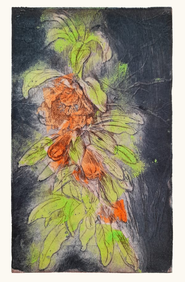 Hilary Daltry RE, Pomegranate Flower