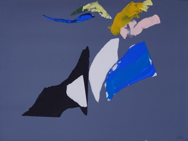 Patricia Paolozzi Cain ARWS, Aird