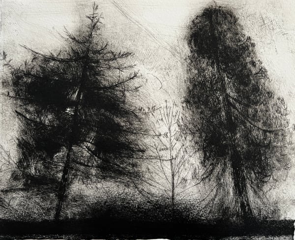 Karen Daye-Hutchinson ARE, Ard an Chrainn