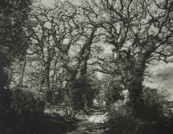 Martin Mitchell ARE, Hidden Paths