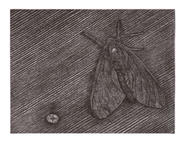 Paul Hawdon RE, WAITING