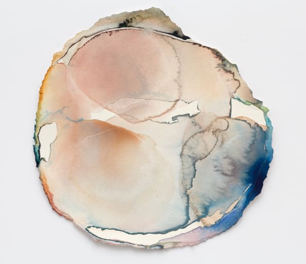 Barbara Nicholls RWS, After Mungo No.8 2017