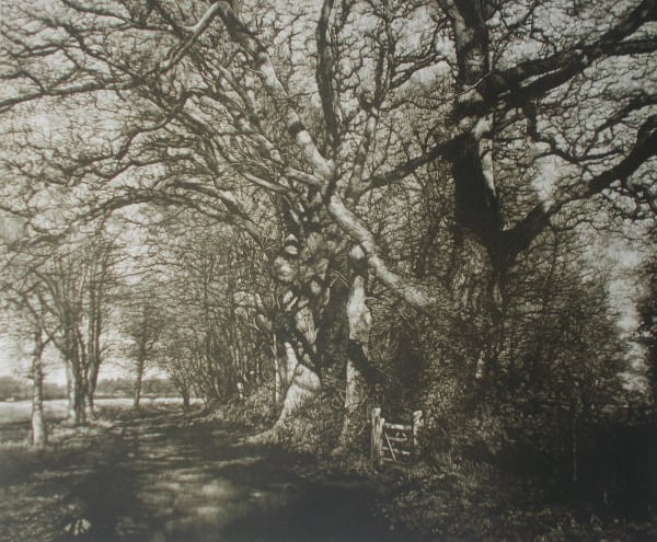 Martin Mitchell ARE, The Secret Gate