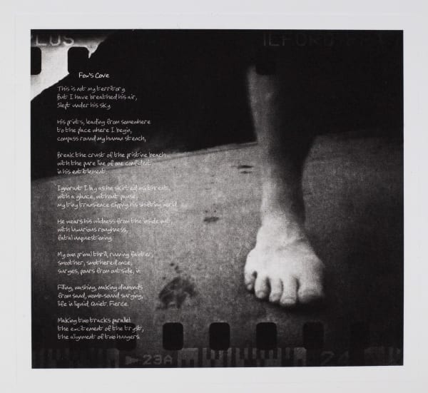 Mark Tweedie Guest RE, Dawn at Fox's Cove