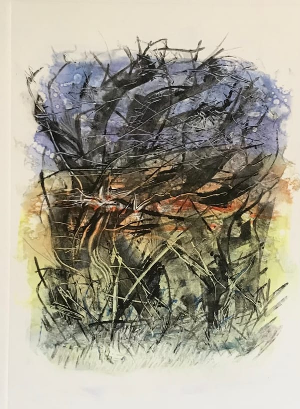 Jackie Newell RE, March Winds Along Madeira Walk