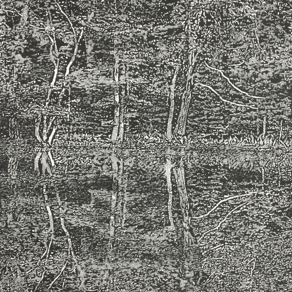 Trevor Price RE, Reflections II