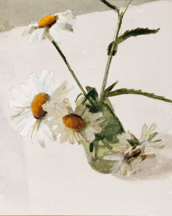 John Newberry RWS, Large Daisies