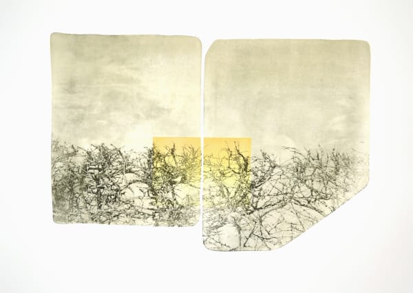 Serena Smith ARE, Psalter 4