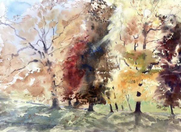 Sophie Knight RWS, Autumn Trees, Greenwich Park