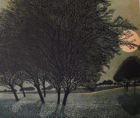 Phil Greenwood RE, Primrose Moon