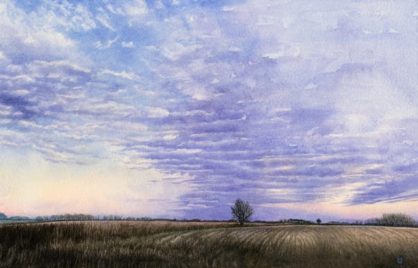 Liz Butler RWS, February late afternoon, Gloucestershire