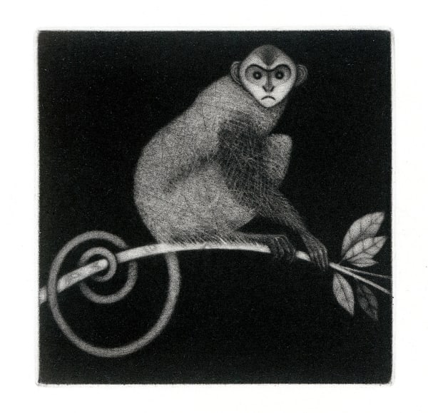Roger Harris RE, Little Monkey