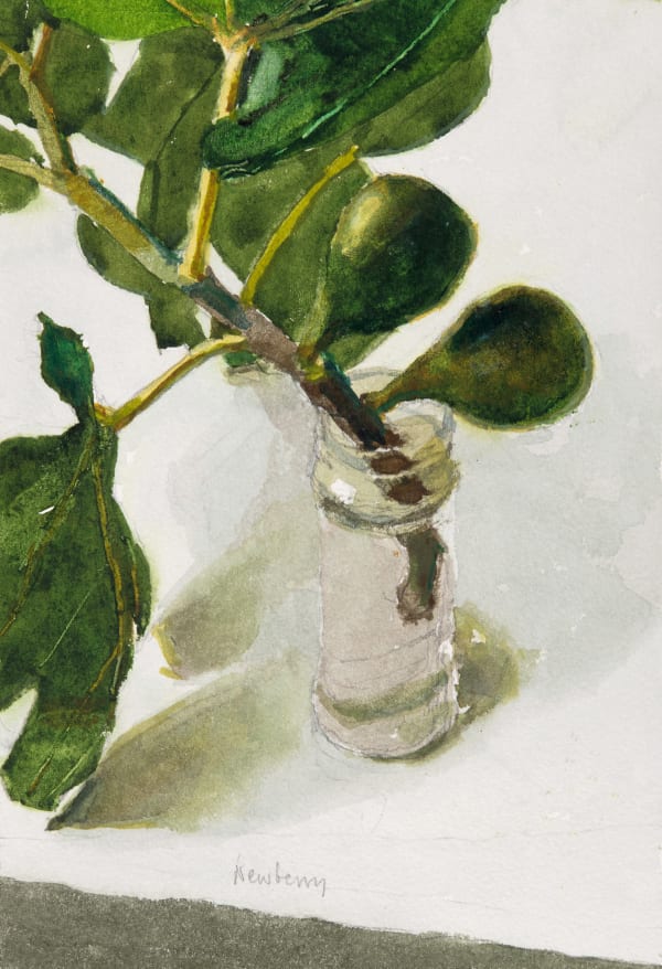 John Newberry RWS, Figs with Leaves