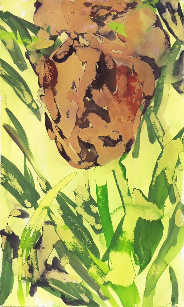 Julie Held RWS, Queen of Night