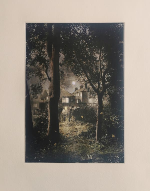 Suzanne Moxhay ARE, Woods