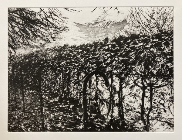 David Sully ARE, Beech Hedge