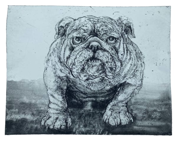 Chris Salmon RE, Bulldog