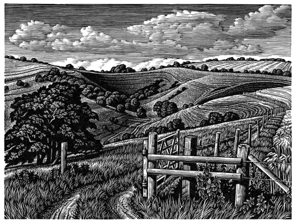 Howard Phipps ARE, Malacombe Bottom