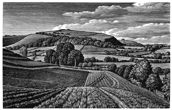 Howard Phipps ARE, Winkelbury Hill fort