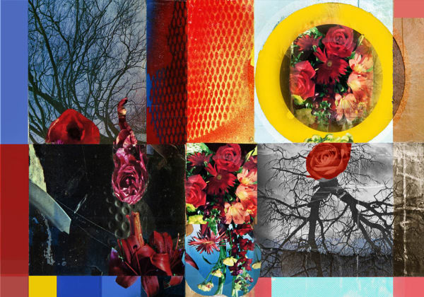 David Ferry PRE, An Expectant New Dawn