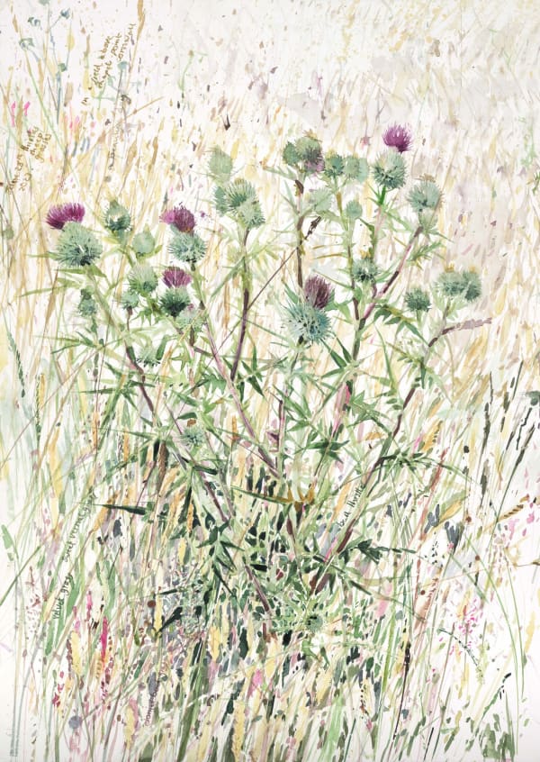 Emma Chambers RWS, Thistle