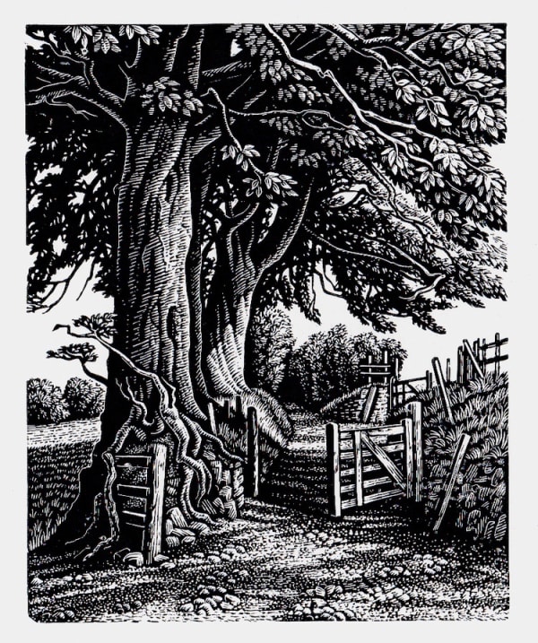 Howard Phipps ARE, A Green Lane, Exmoor