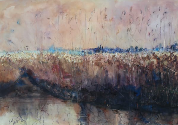 Sophie Knight RWS, Warm Sunny Evening, Reeds, Cley
