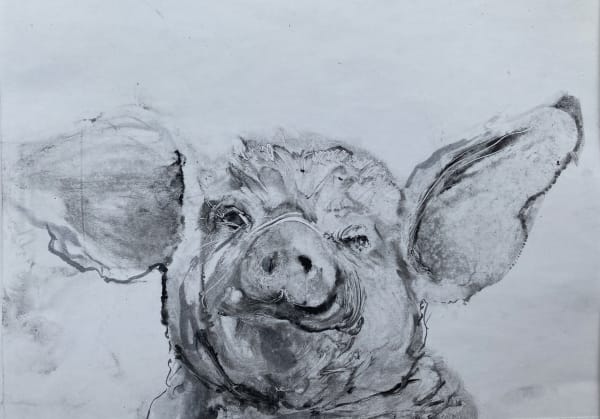 Chris Salmon RE, Pigface