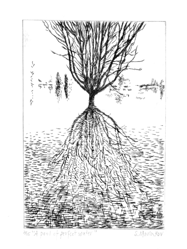 Sasa Marinkov RE, A Pool of Perfect Water (Ovid)