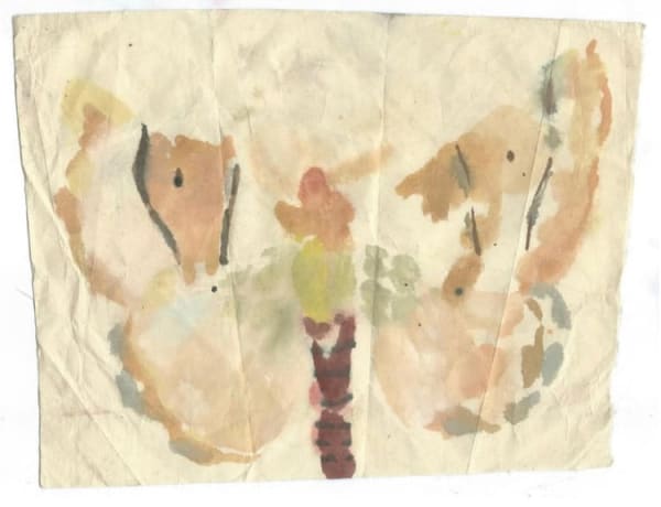 Ned Elliott Guest RWS , Moth