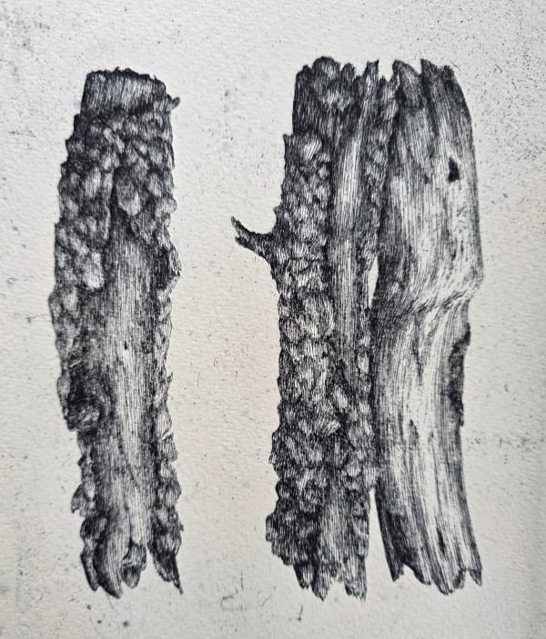 Dolores De Sade RE, Two Plus One