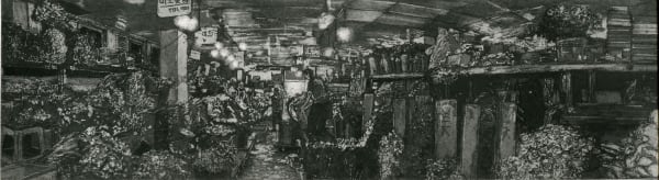 Austin Cole RE, Flower Market Seoul