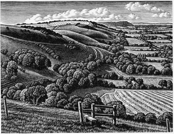 Howard Phipps ARE, South Downs, The Fulking Escarpment