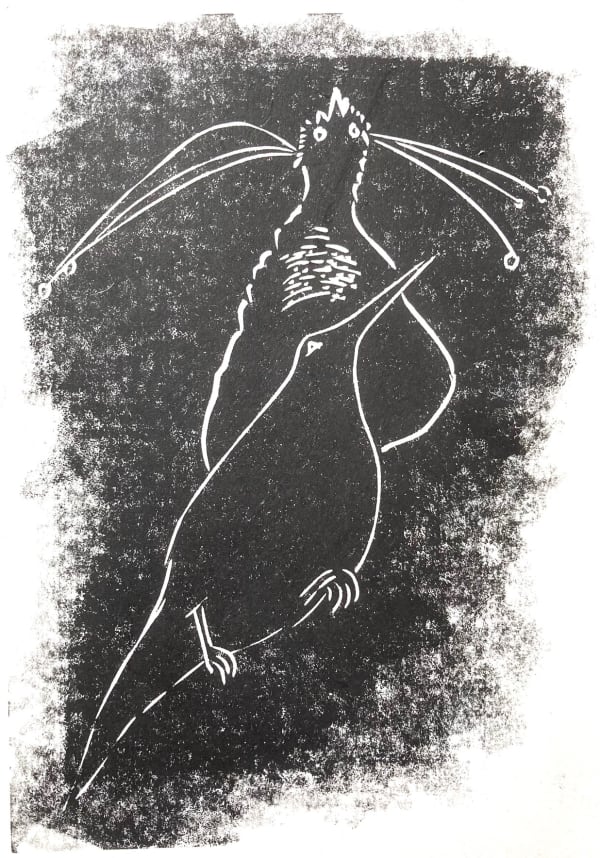 Sasa Marinkov RE, Paradisaeidae